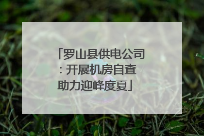 罗山县供电公司：开展机房自查 助力迎峰度夏