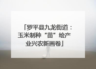 罗平县九龙街道：玉米制种“苗”绘产业兴农新画卷