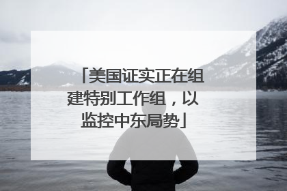 美国证实正在组建特别工作组，以监控中东局势