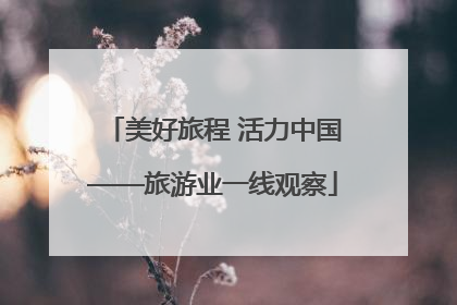 美好旅程 活力中国——旅游业一线观察