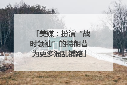 美媒：扮演“战时领袖”的特朗普为更多混乱铺路