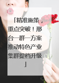 精准施策，重点突破！邢台一群一方案推动特色产业集群提档升级