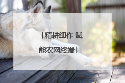 精耕细作 赋能农网终端