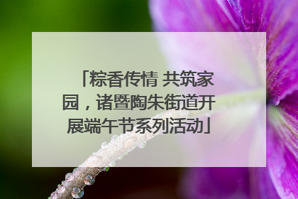 粽香传情 共筑家园，诸暨陶朱街道开展端午节系列活动