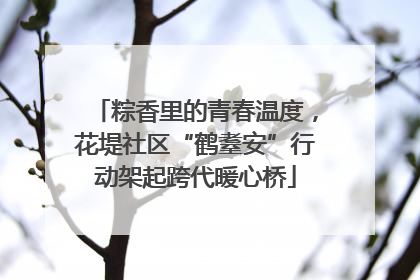 粽香里的青春温度，花堤社区“鹤耋安”行动架起跨代暖心桥