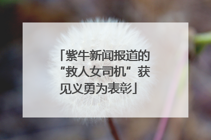 紫牛新闻报道的“救人女司机”获见义勇为表彰