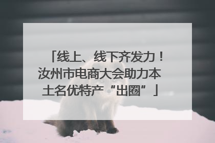 线上、线下齐发力！汝州市电商大会助力本土名优特产“出圈”
