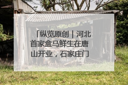 纵览原创｜河北首家盒马鲜生在唐山开业，石家庄门店预计8月开业