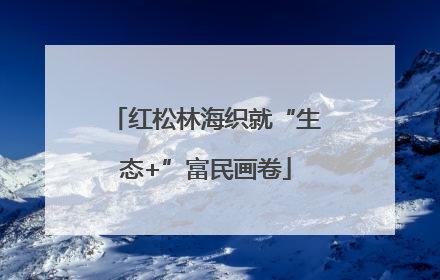 红松林海织就“生态+”富民画卷