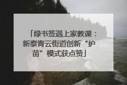 绿书签遇上家教课：新泰青云街道创新“护苗”模式获点赞
