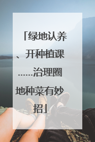 绿地认养、开种植课……治理圈地种菜有妙招