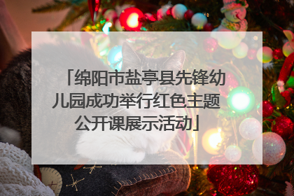 绵阳市盐亭县先锋幼儿园成功举行红色主题公开课展示活动
