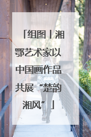 组图丨湘鄂艺术家以中国画作品共展“楚韵湘风”
