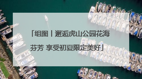 组图丨邂逅虎山公园花海芬芳 享受初夏限定美好
