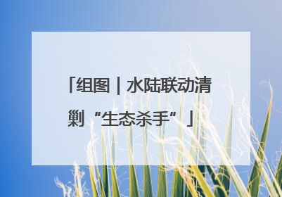 组图｜水陆联动清剿“生态杀手”