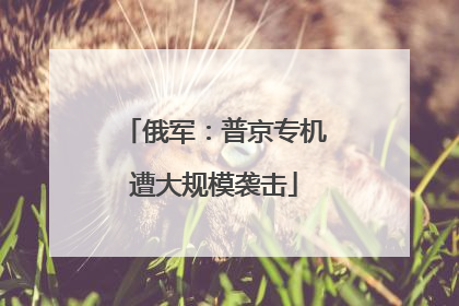 俄军：普京专机遭大规模袭击