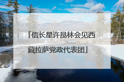 信长星许昆林会见西藏拉萨党政代表团