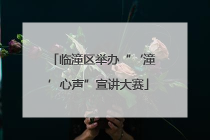 临潼区举办“‘潼’心声”宣讲大赛
