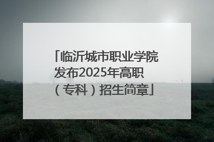 临沂城市职业学院发布2025年高职（专科）招生简章
