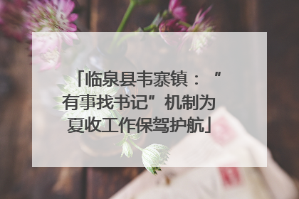临泉县韦寨镇：“有事找书记”机制为夏收工作保驾护航