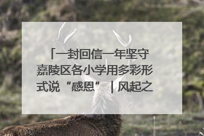 一封回信一年坚守 嘉陵区各小学用多彩形式说“感恩”｜风起之江 扶摇直上