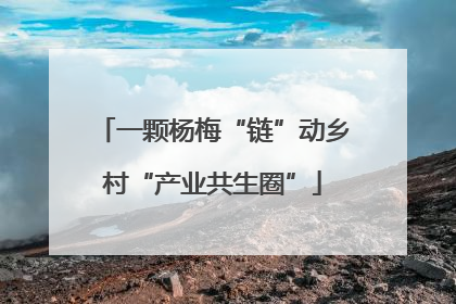一颗杨梅“链”动乡村“产业共生圈”