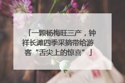 一颗杨梅旺三产，钟祥长滩四季采摘带给游客“舌尖上的惊喜”