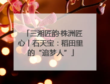 三湘匠韵·株洲匠心丨石天宝：稻田里的“追梦人”