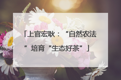 上官宏耿：“自然农法”培育“生态好茶”