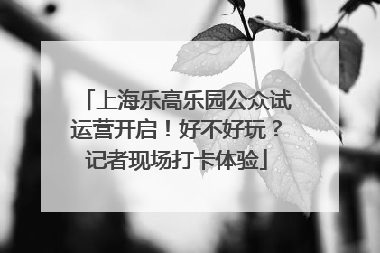 上海乐高乐园公众试运营开启！好不好玩？记者现场打卡体验