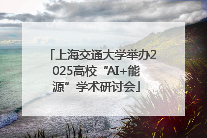 上海交通大学举办2025高校“AI+能源”学术研讨会