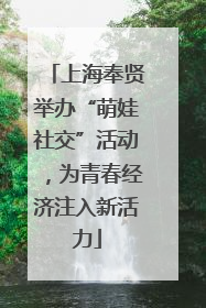 上海奉贤举办“萌娃社交”活动，为青春经济注入新活力