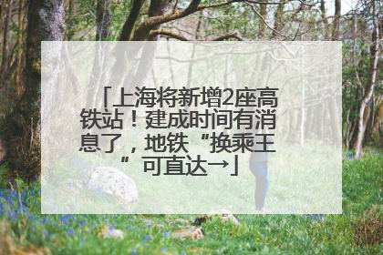 上海将新增2座高铁站！建成时间有消息了，地铁“换乘王”可直达→