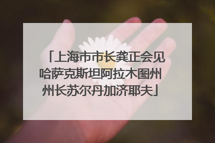 上海市市长龚正会见哈萨克斯坦阿拉木图州州长苏尔丹加济耶夫