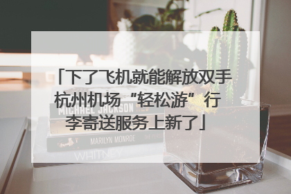 下了飞机就能解放双手 杭州机场“轻松游”行李寄送服务上新了