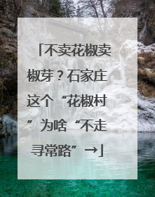 不卖花椒卖椒芽？石家庄这个“花椒村”为啥“不走寻常路”→