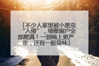 不少人家里被小黑虫“入侵”，墙壁窗户全部爬满！一到晚上更严重，还有一股臭味