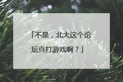 不是，北大这个论坛真打游戏啊？