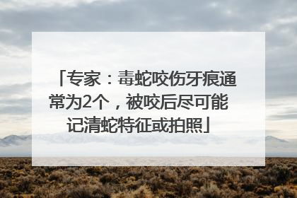 专家：毒蛇咬伤牙痕通常为2个，被咬后尽可能记清蛇特征或拍照
