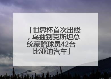 世界杯首次出线，乌兹别克斯坦总统豪赠球员42台比亚迪汽车