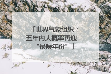 世界气象组织：五年内大概率再迎“最暖年份”