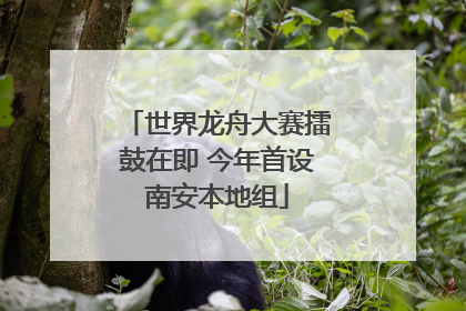 世界龙舟大赛擂鼓在即 今年首设南安本地组
