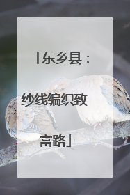 东乡县：纱线编织致富路