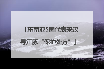 东南亚5国代表来汉寻江豚“保护处方”