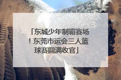 东城少年制霸赛场！东莞市运会三人篮球赛圆满收官