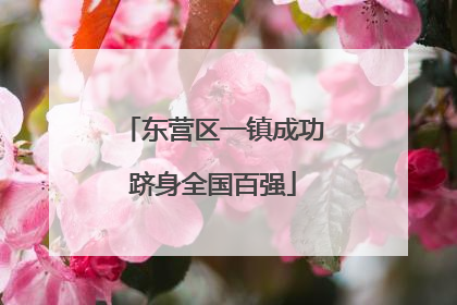 东营区一镇成功跻身全国百强