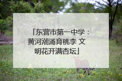 东营市第一中学：黄河潮涌育桃李 文明花开满杏坛