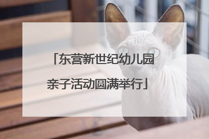 东营新世纪幼儿园亲子活动圆满举行