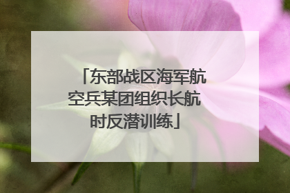 东部战区海军航空兵某团组织长航时反潜训练