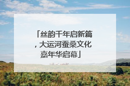丝韵千年启新篇，大运河蚕桑文化嘉年华启幕